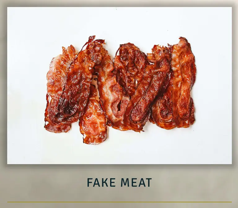 fake meat