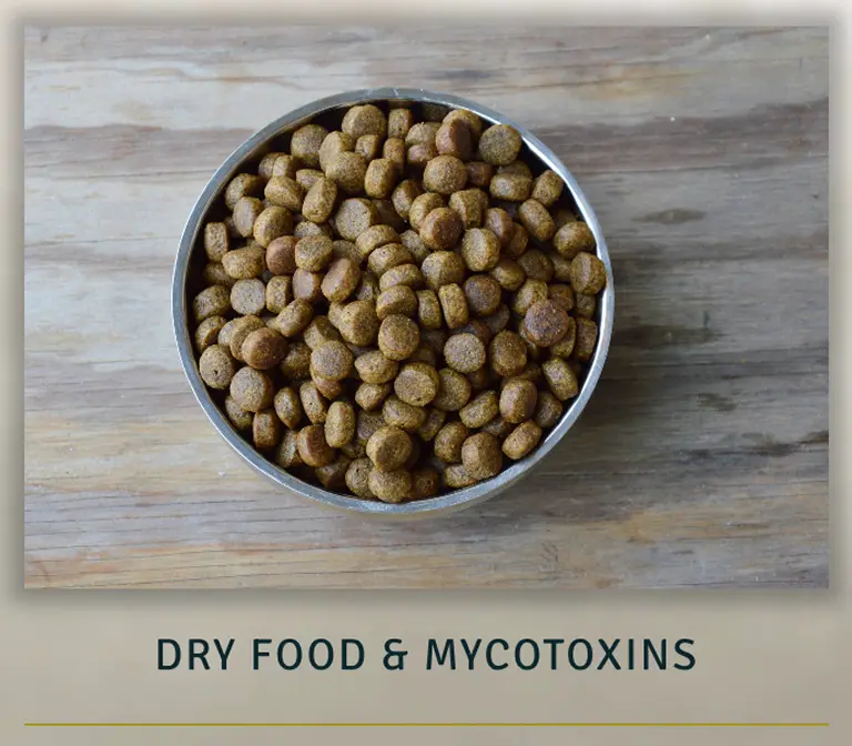 dry food