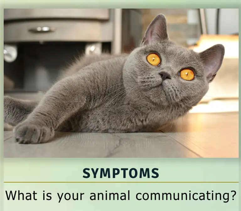 symptoms