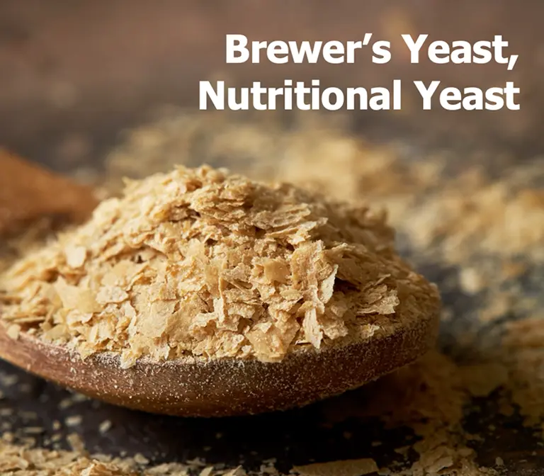 brewer_yest