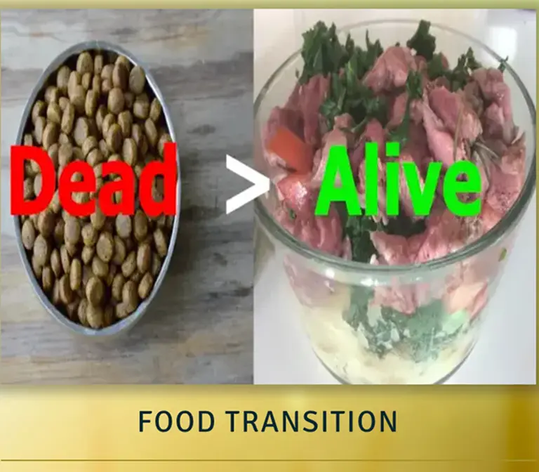 deadAlive