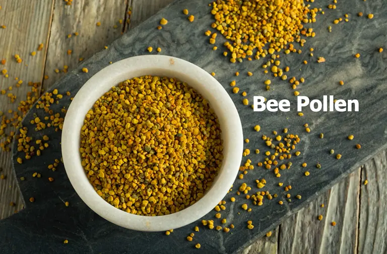 bee
