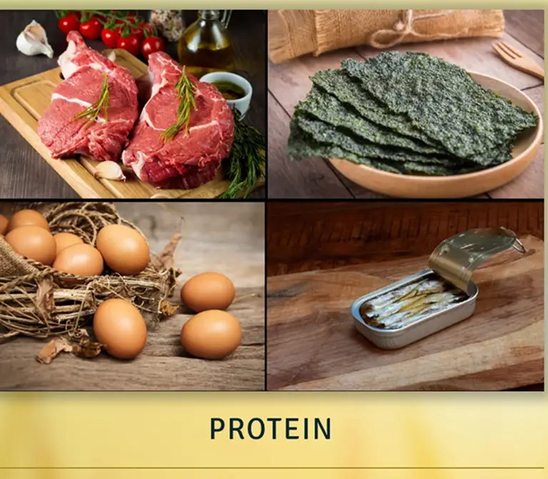 proteins
