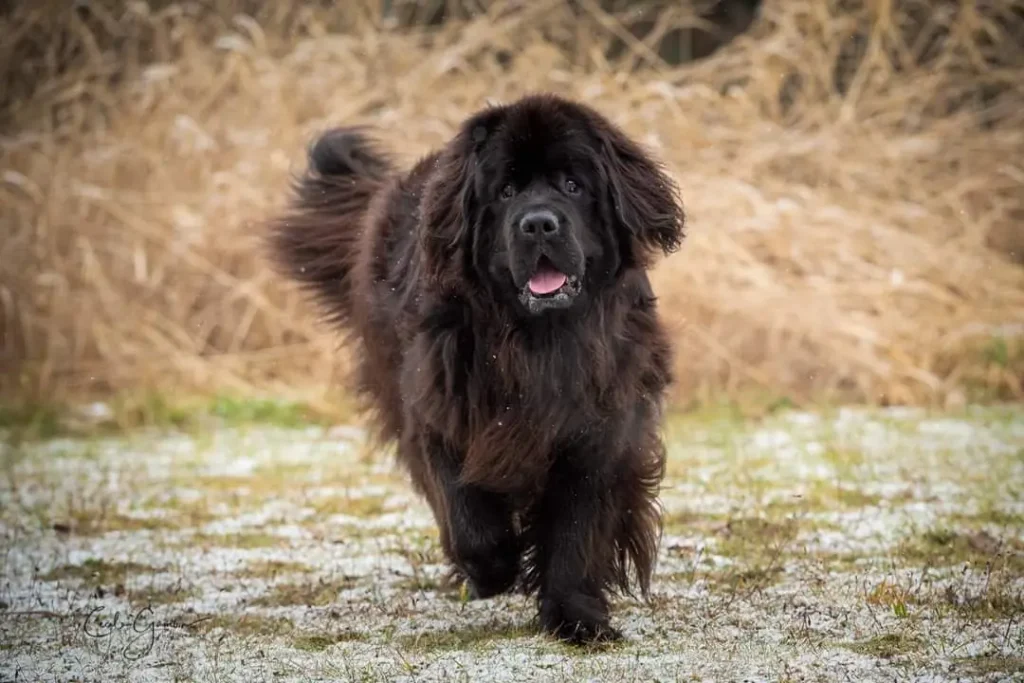 FB_IMG_1625698439167