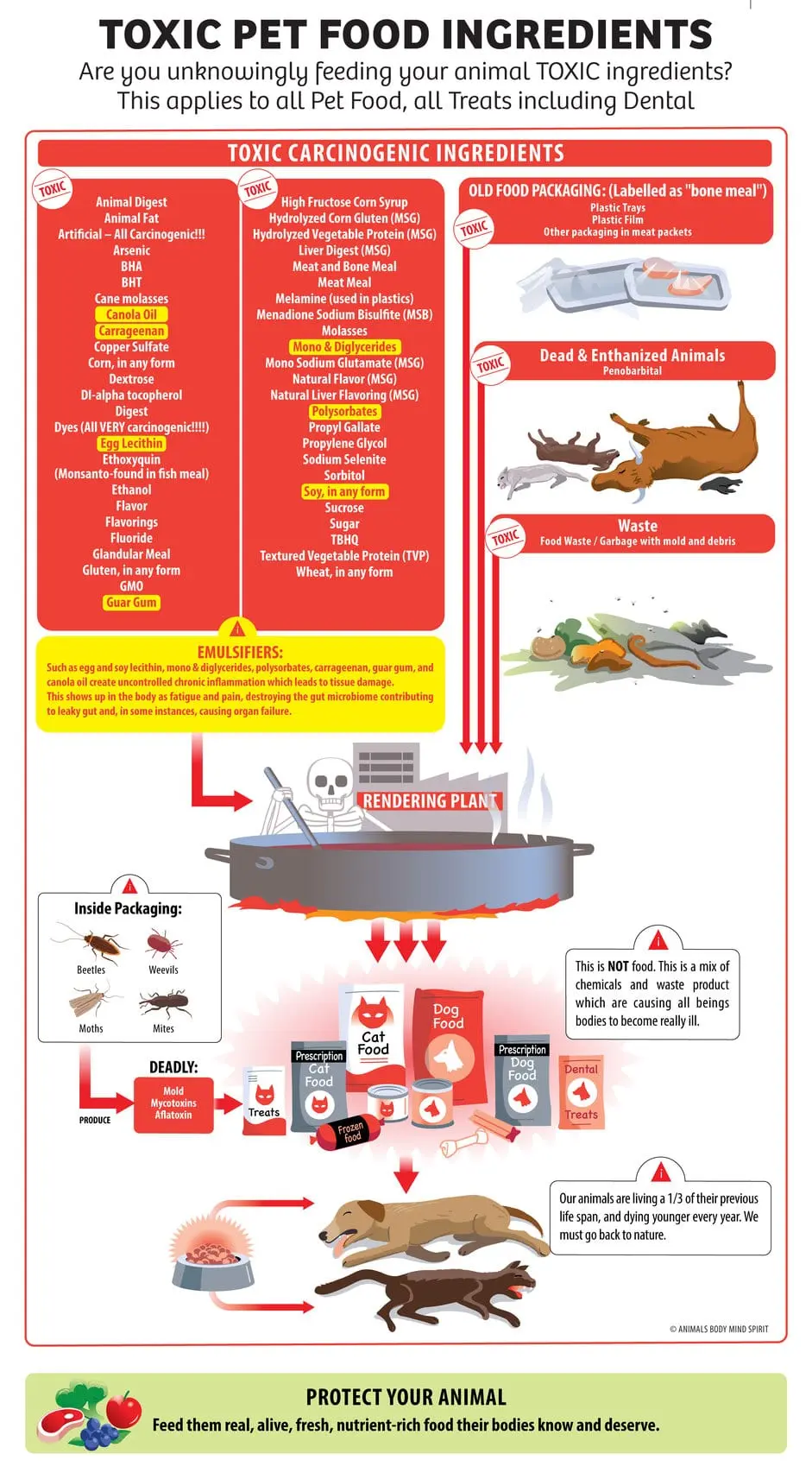 PET-FOOD_GRAPHIC_for-approval11