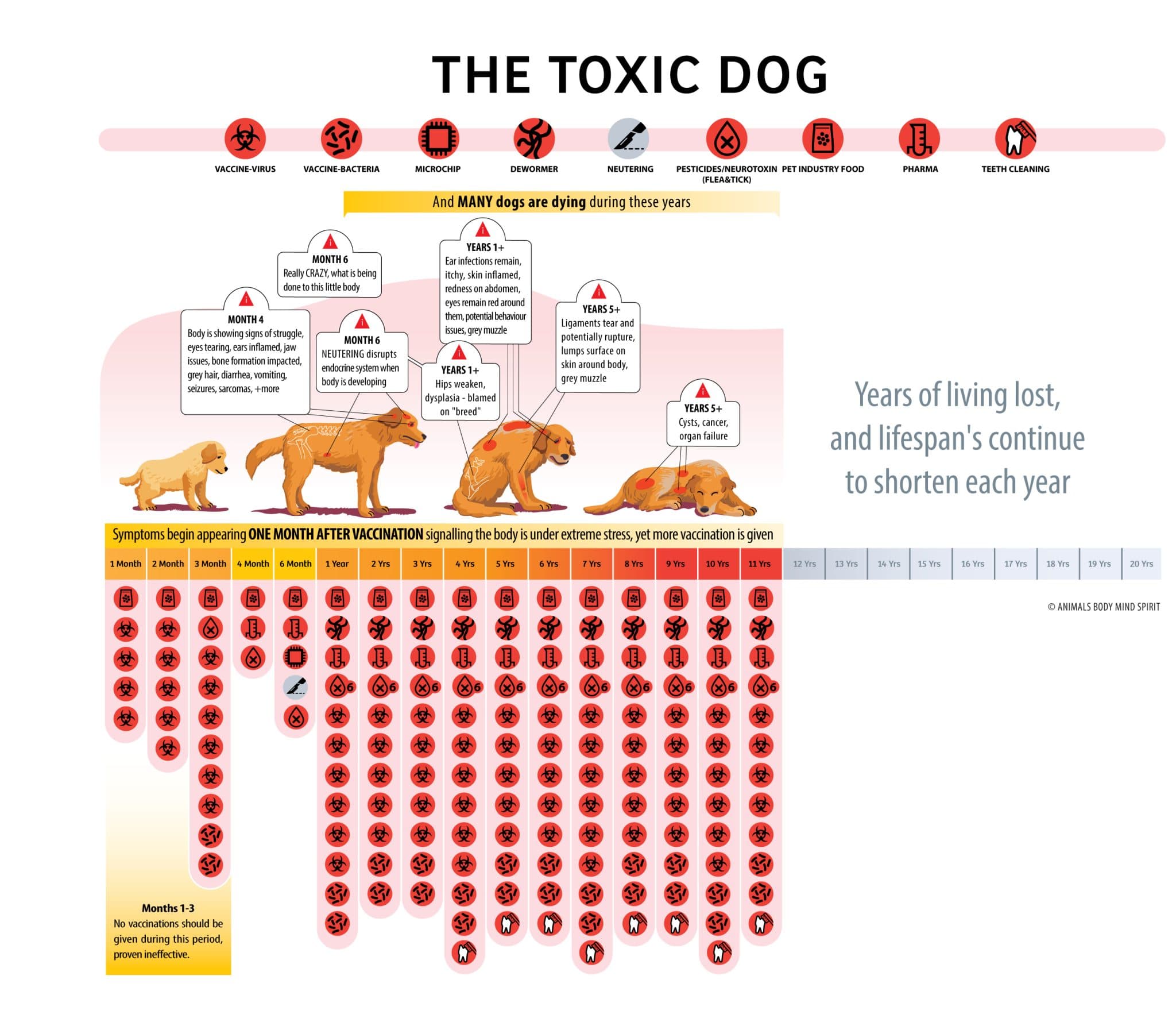 TOXIC-DOG_DIAGRAM_10
