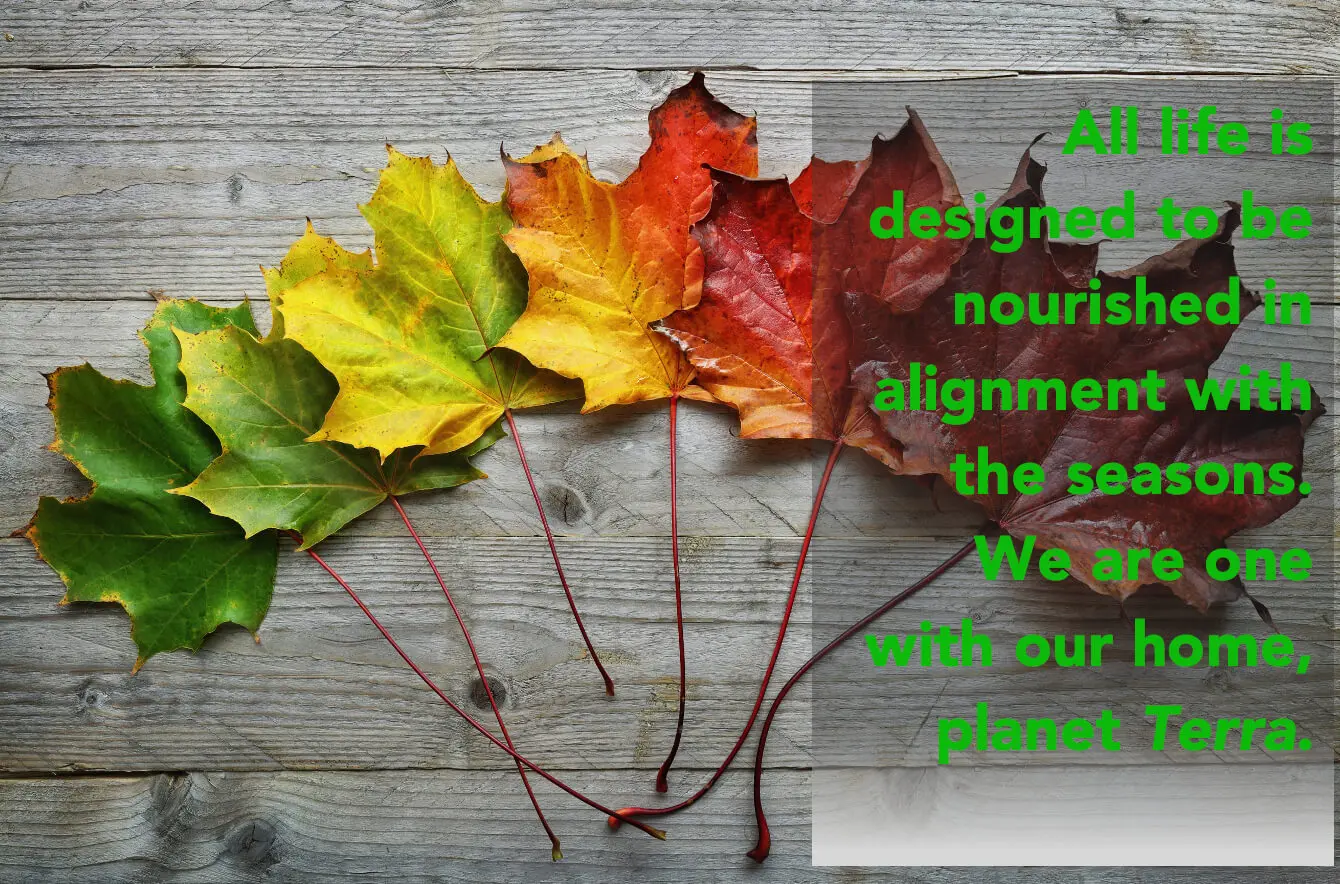 all-life-is-designed