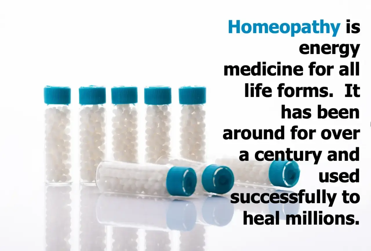 Our animals are designed to