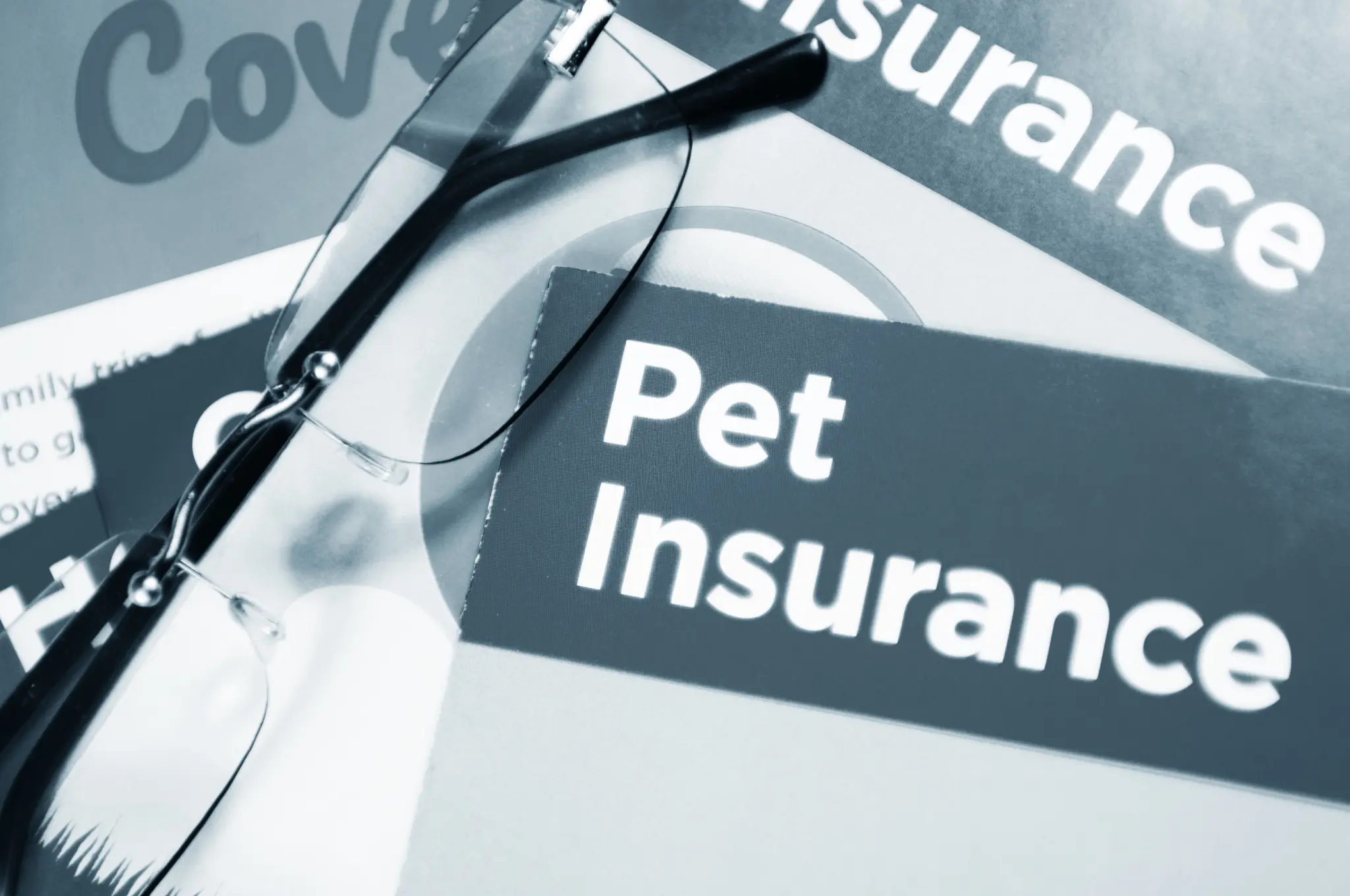 pet insurance
