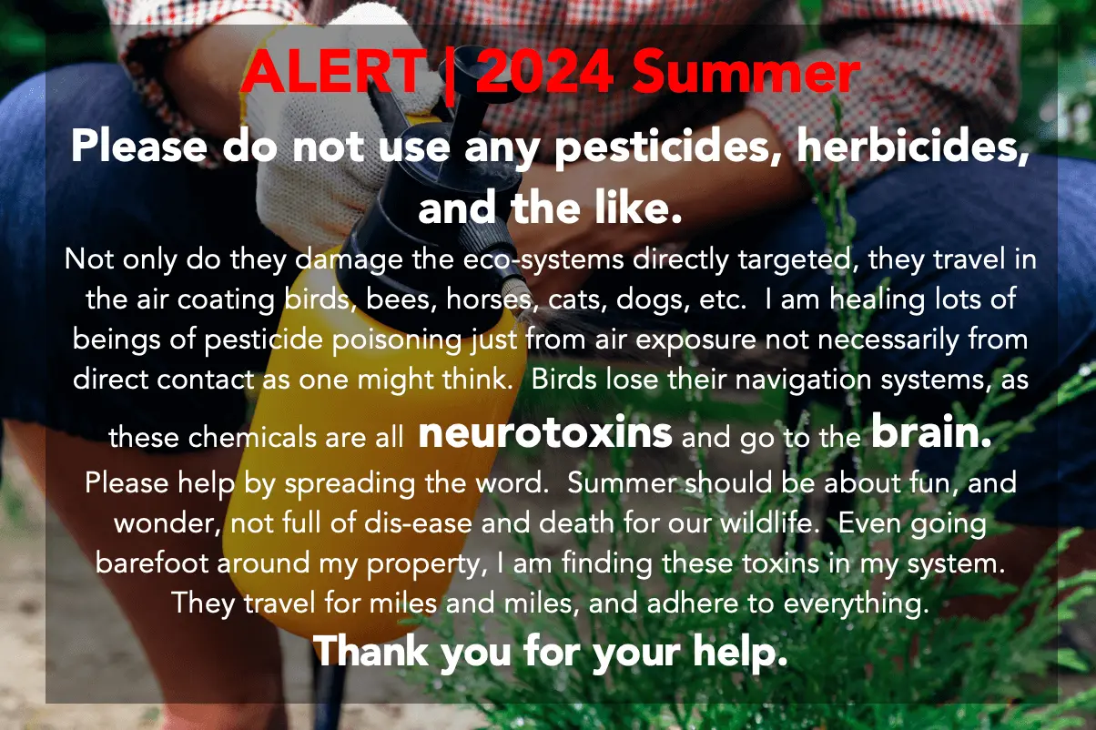 alert-2024-summer