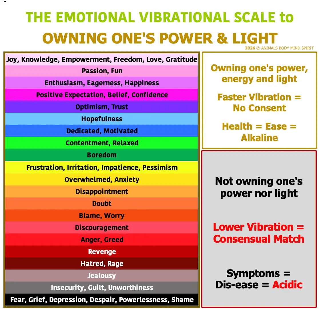 vibra1