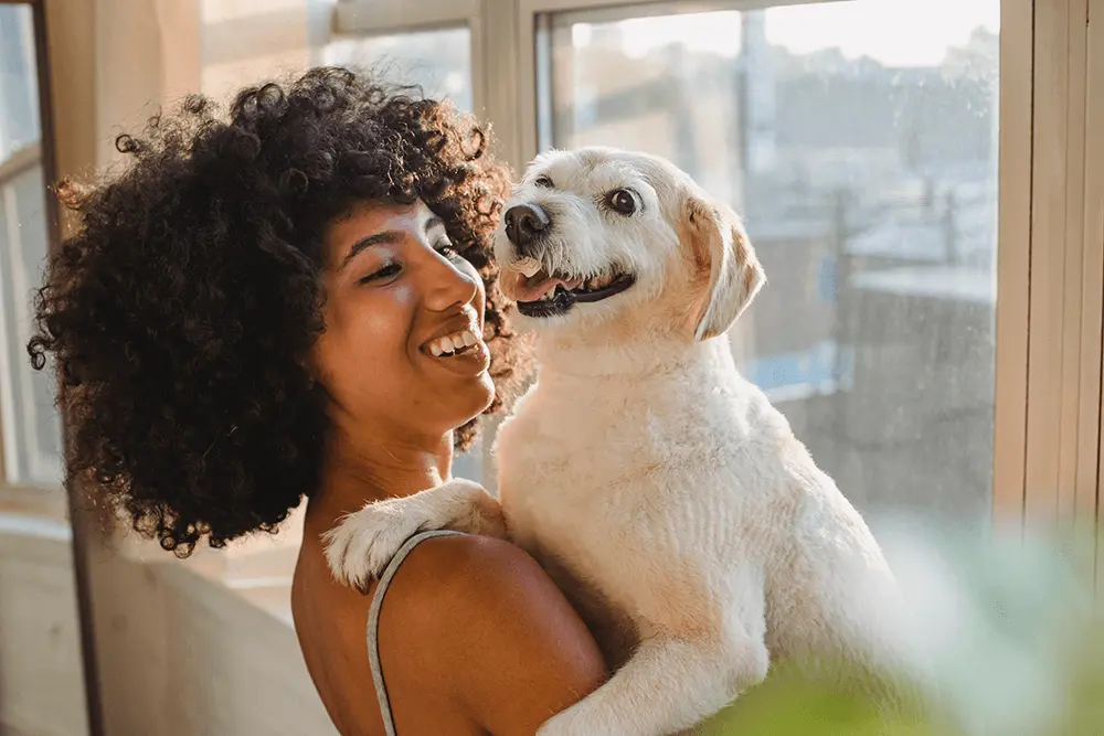 pexels-samson-katt-5255256