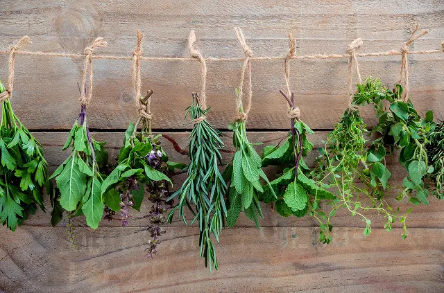 21 iStock-670762802 1