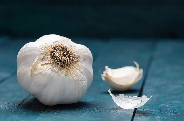 26 iStock-884801090 1