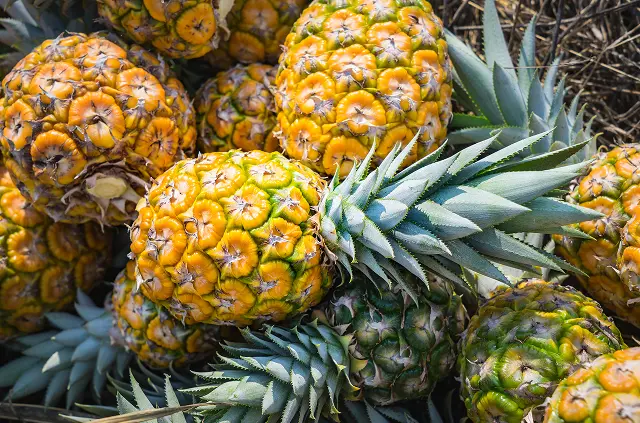 27 iStock-849413644 1