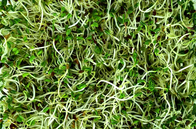 42 iStock-619405564 1