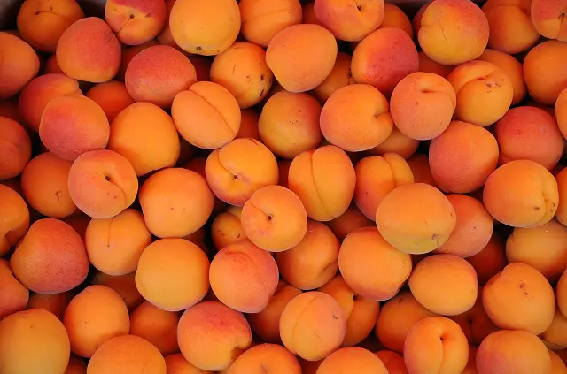 53 iStock-511099456 1