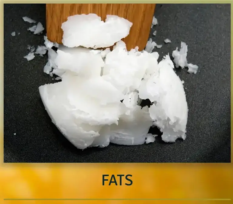 fats-sd