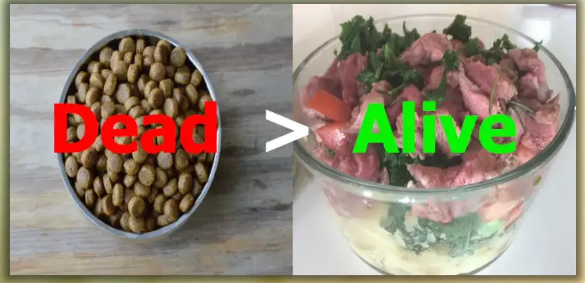 food-trs