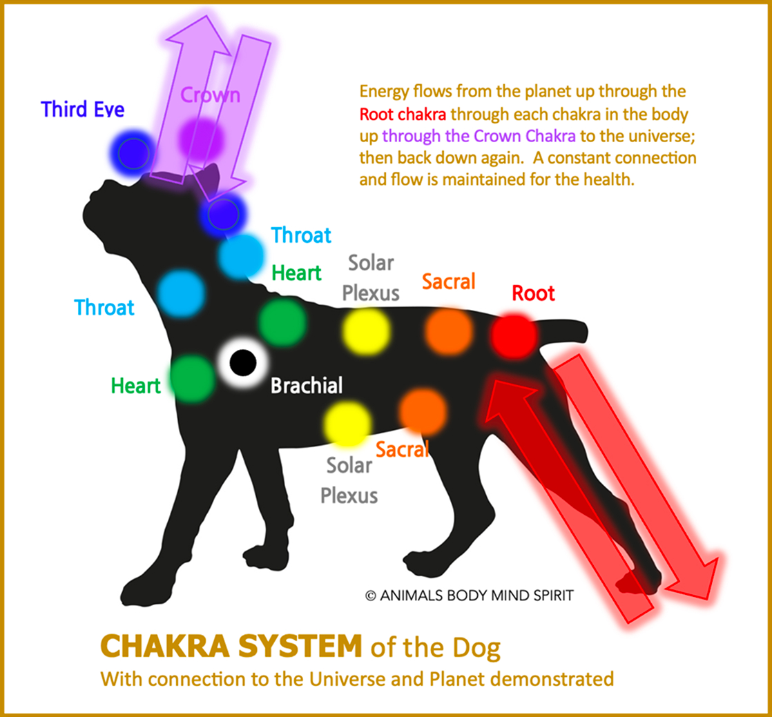 chakra_mg2
