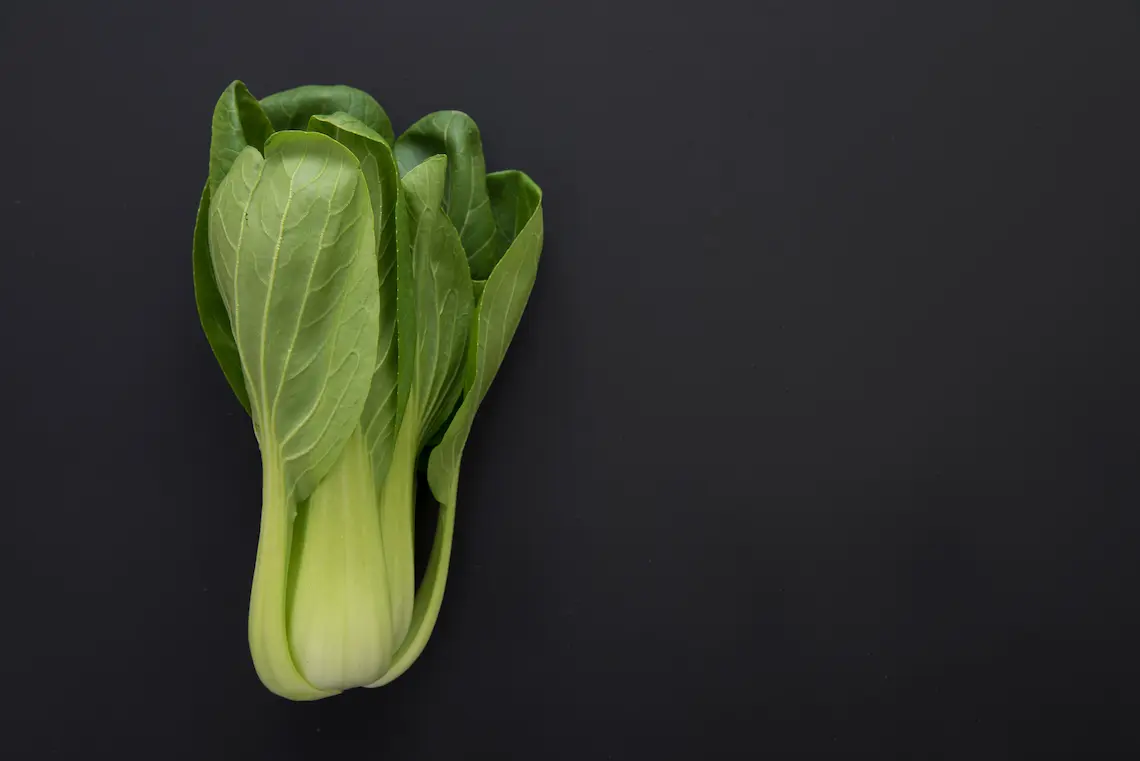 veg-b1