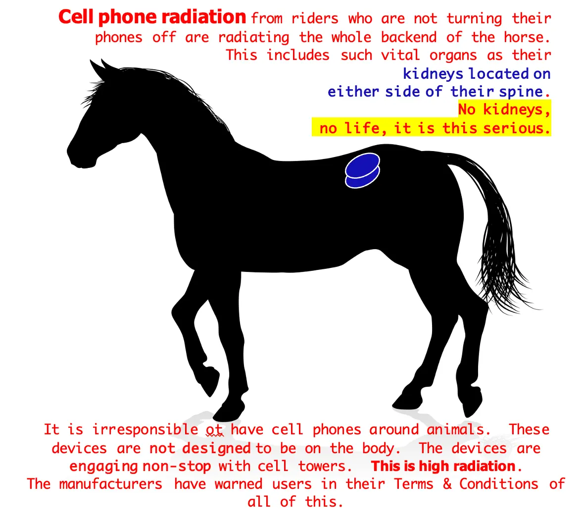 horse-cell