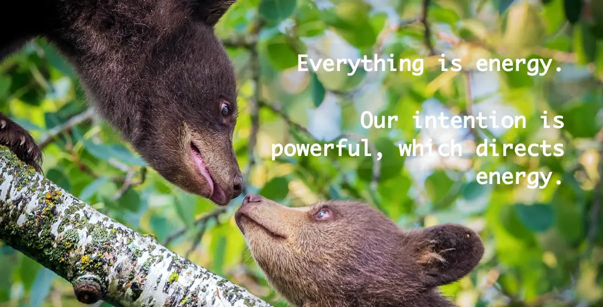 energytapping